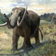 Illustration for article titled Ancient mastodon hunt reveals North Americas oldest culture